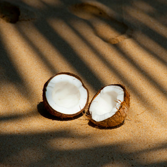 ¿Cuál es la mejor leche vegana?